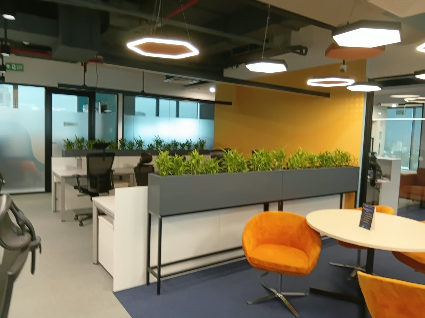 Open-plan workstations with planters and lounge chairs at the Axonect office, Colombo